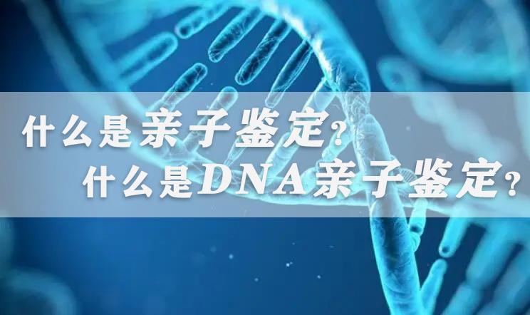 什么叫dna亲子鉴定高中生物,dna亲子鉴定和血型亲子鉴定
