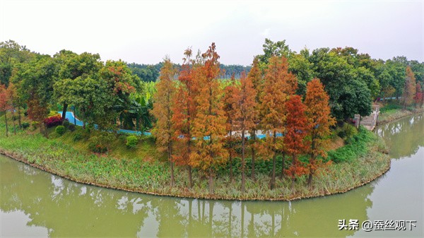 东莞市麻涌镇经济崛起,麻涌镇各村经济排名