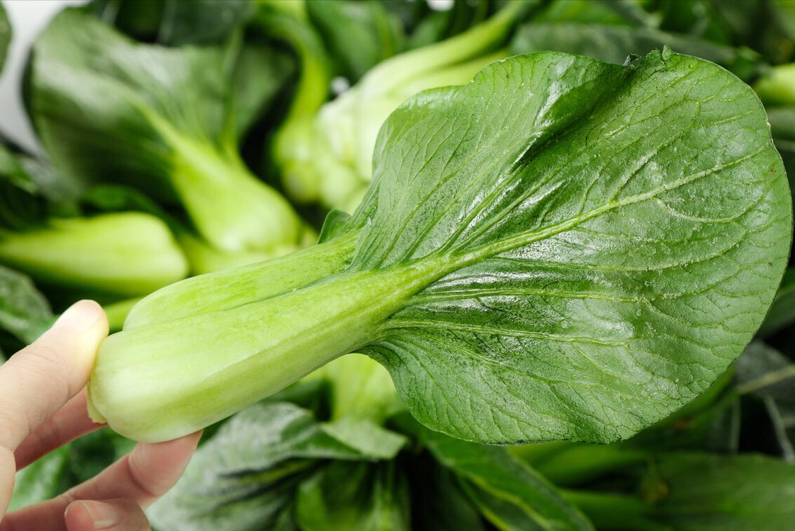 青菜叶子发黄的原因与处理方法,怎样炒出来的青菜不会发黄