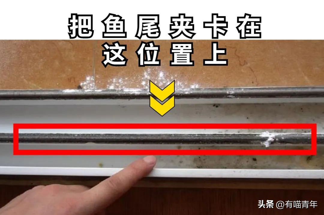 100件养猫好物,十元左右养猫好物分享