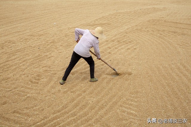 农民卖自家农产品违法吗,农民卖土特产违法吗