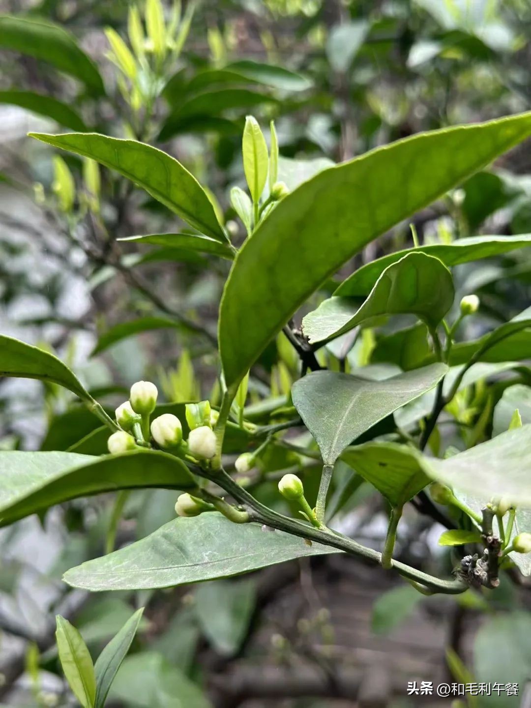 05年高中生日常,以前大学生日常