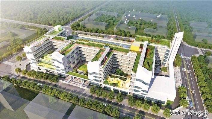 深圳市宝安区新建的公办学校,2019年宝安公办学校