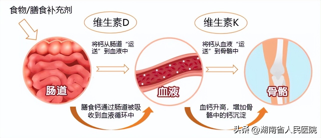 春季孩子身高暴涨期,判断孩子身高增长快慢的标准