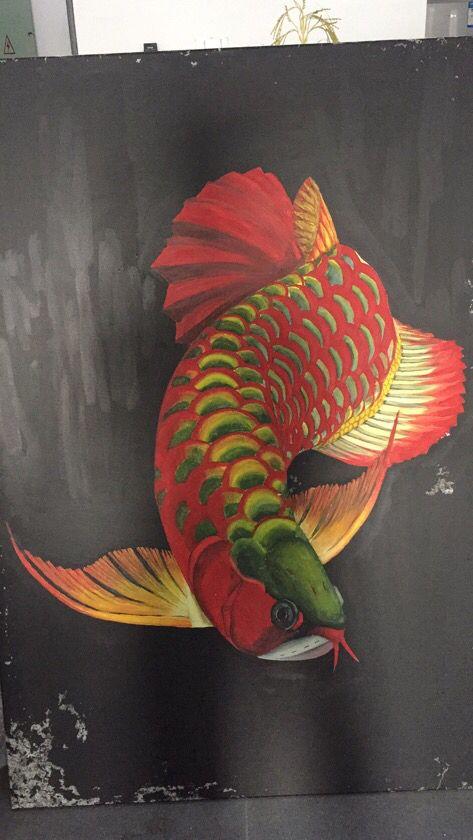 观赏鱼吉祥四宝,招财锦鲤观赏鱼