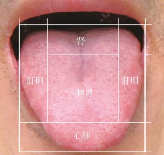 阳虚气虚血虚体质怎么调理吃啥药,气虚血虚阴虚阳虚的辨证