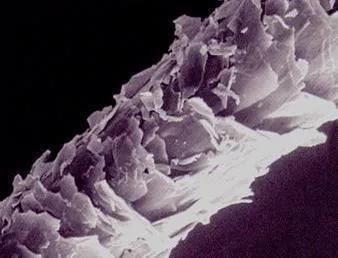 干枯毛躁的头发用什么护发,头发干枯毛躁头油多用什么护发素