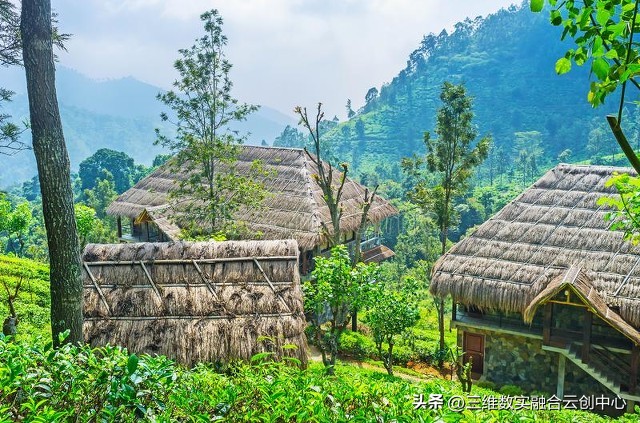 农业发展重点突破,农业创新发展模式