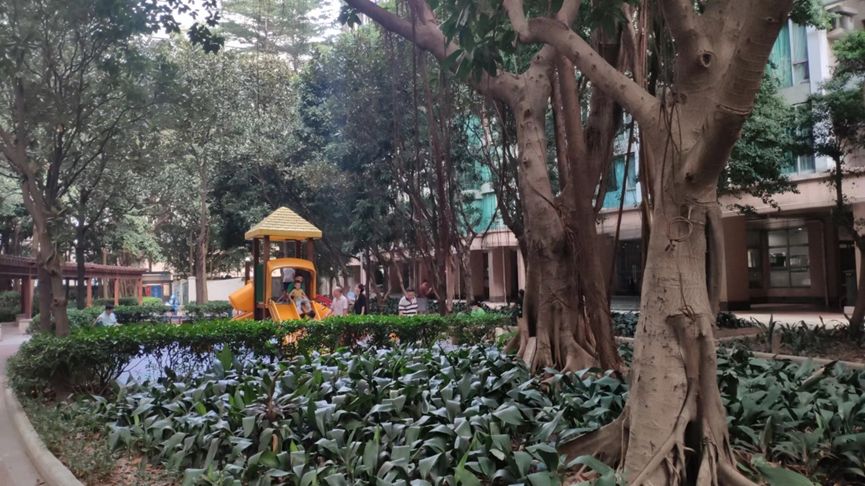 广州市海珠区逸景翠园成交价,广州市海珠区逸景翠园