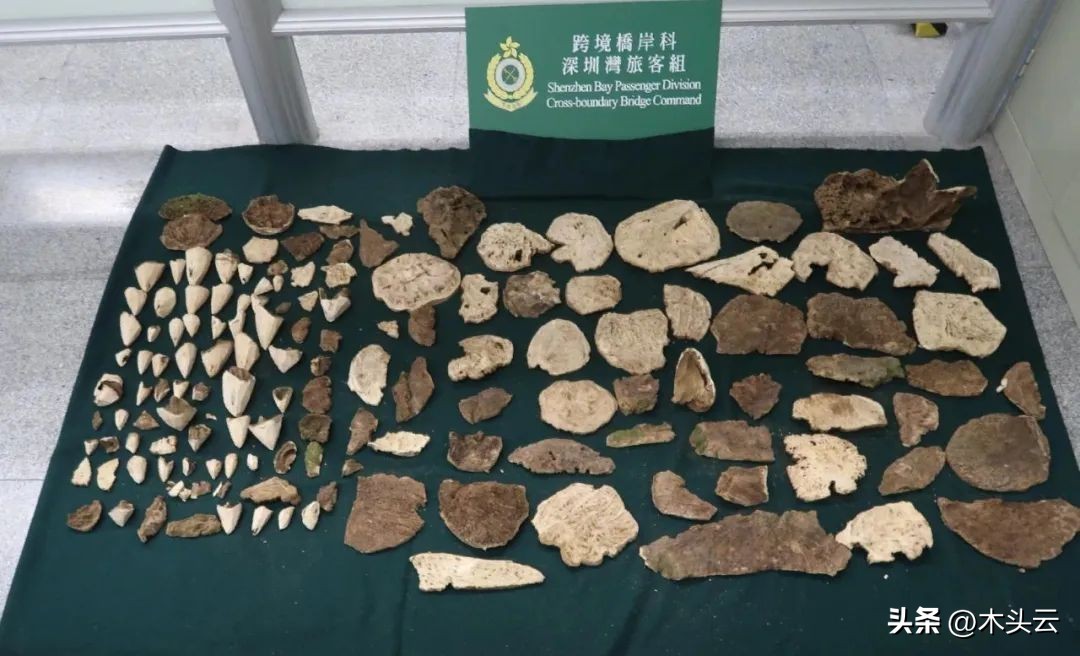 香港海关查获固体冰毒1.8吨,香港海关破3100万元走私案