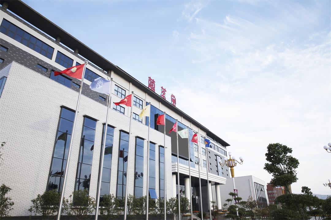 以真点亮品牌之光,万茗堂应邀与央视主持人董倩《对话中国品牌》