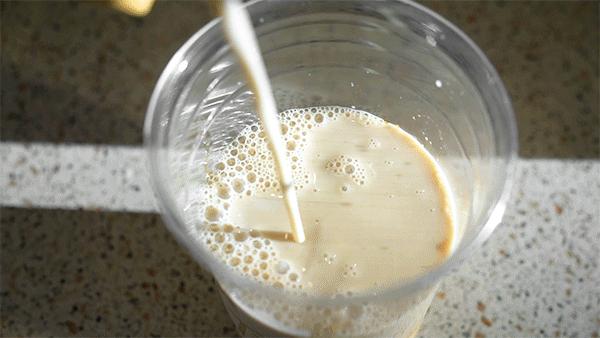 #植物标签搞大事！活捉圣诞老人就送礼