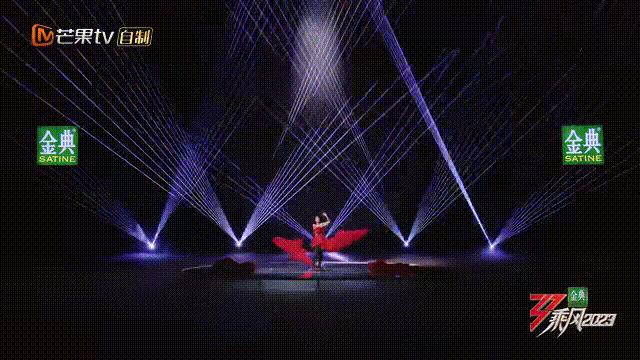 越南芝芙,芝芙越南