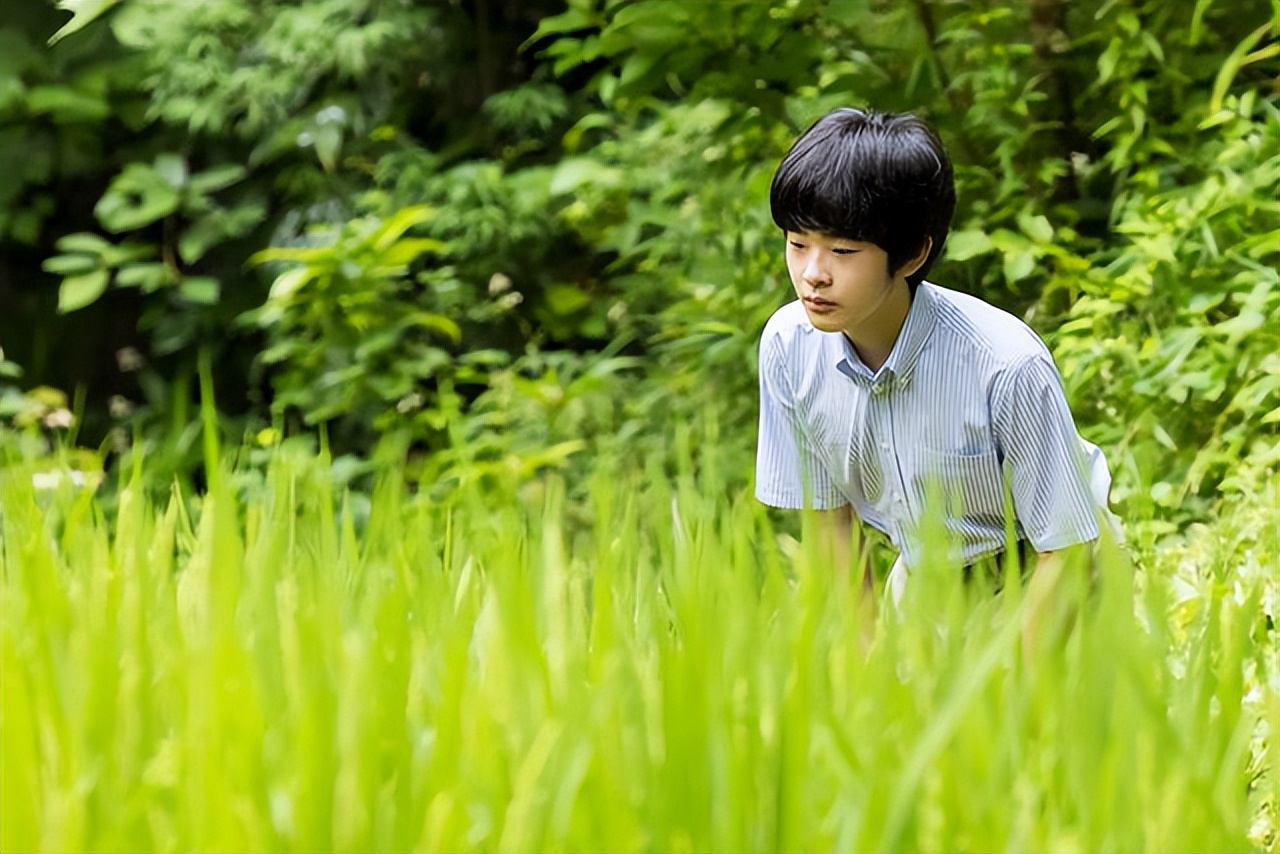 皇孙悠仁亲王,悠仁亲王十七岁