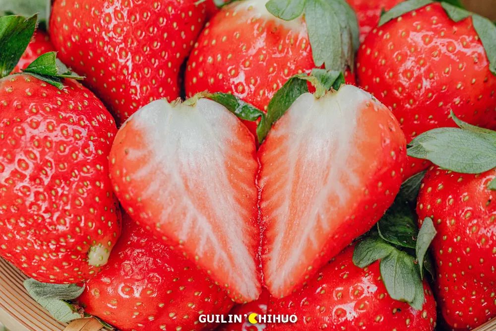 2022桂林周边摘草莓区域,桂林摘草莓的地方