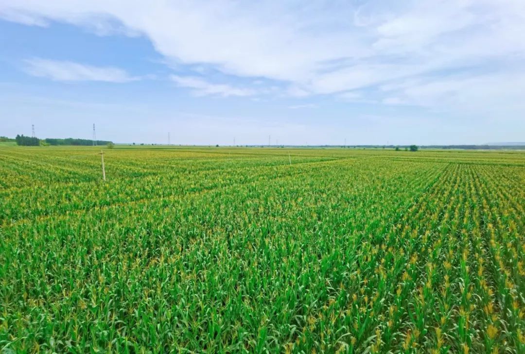 乡村振兴100讲全集,100个经典乡村振兴案例