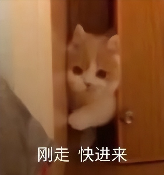 我在中老年APP里治愈了电子阳痿