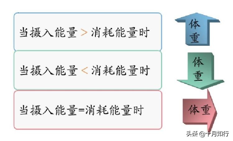 为什么控制饮食加锻炼还没瘦,为啥控制饮食加运动体重没瘦