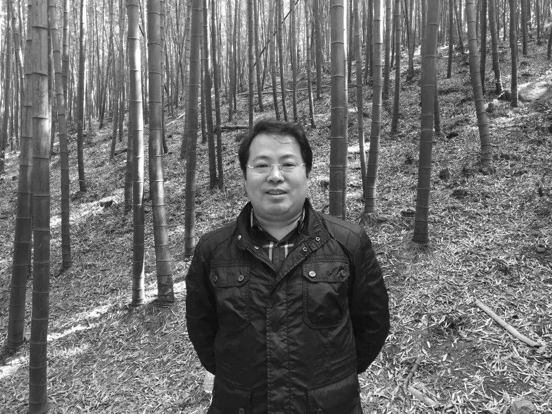 中青年书法名家邀请展,当代书法名家展