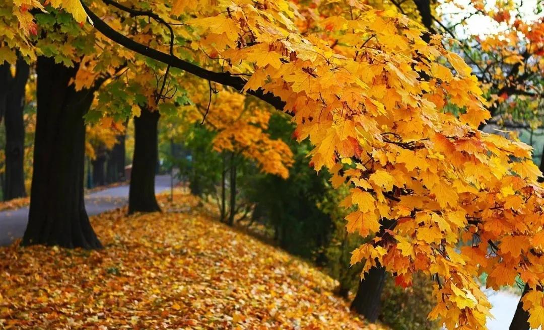 名字嘉后面配什么字起名最好,名字对一个人的人生有影响吗