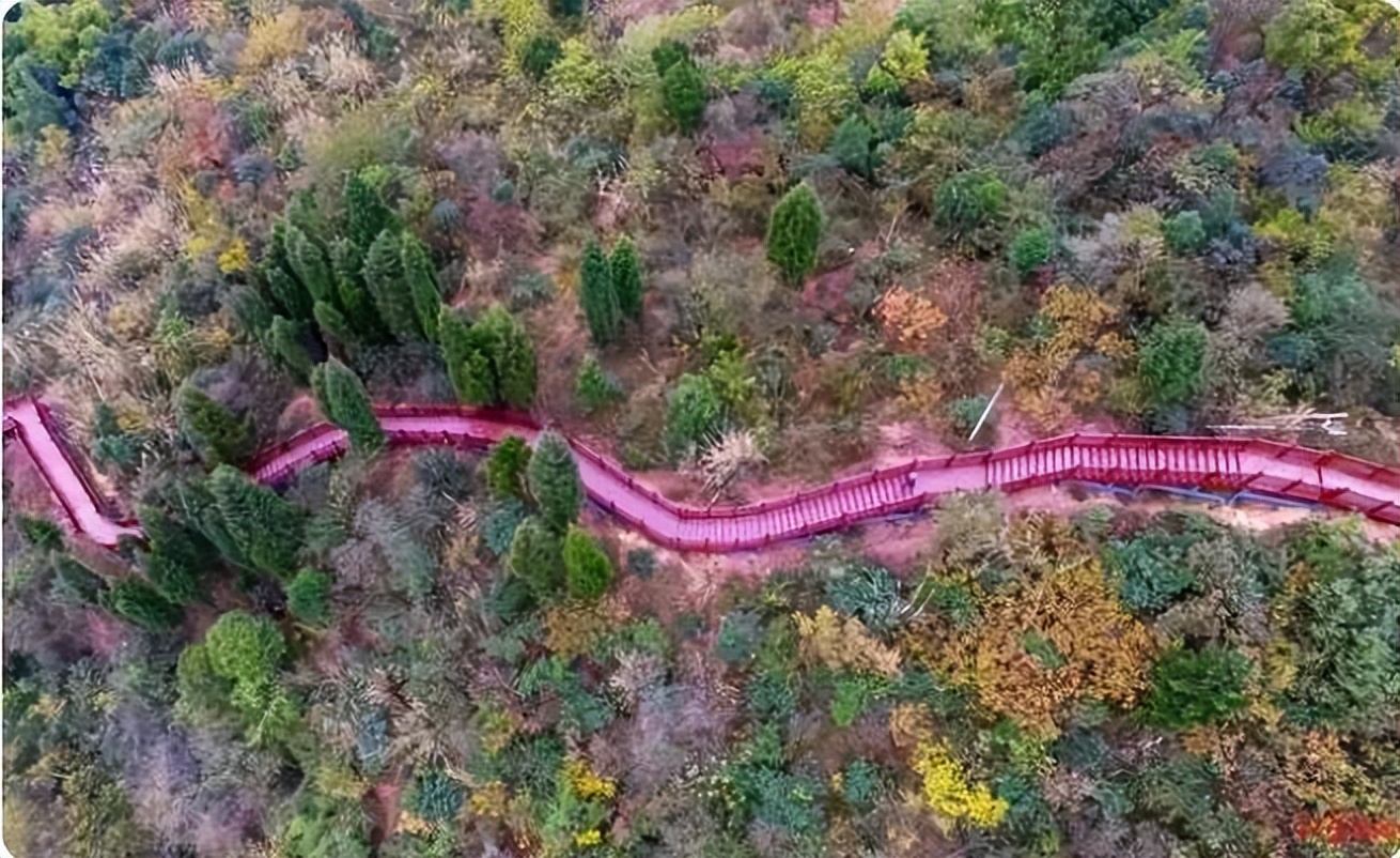 加快发展体育产业的指导性意见,体育产业发展规划和思路