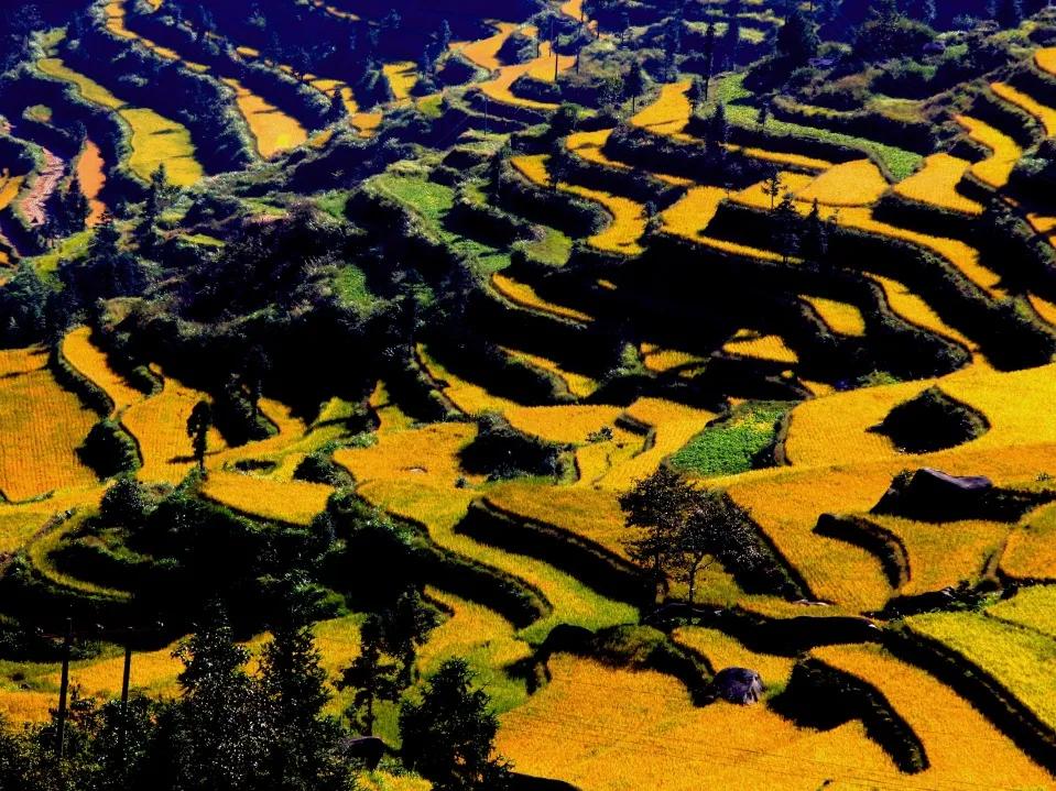 春节出游必看！温州这12条特色线路诚意满满，带你玩转虎年春节！