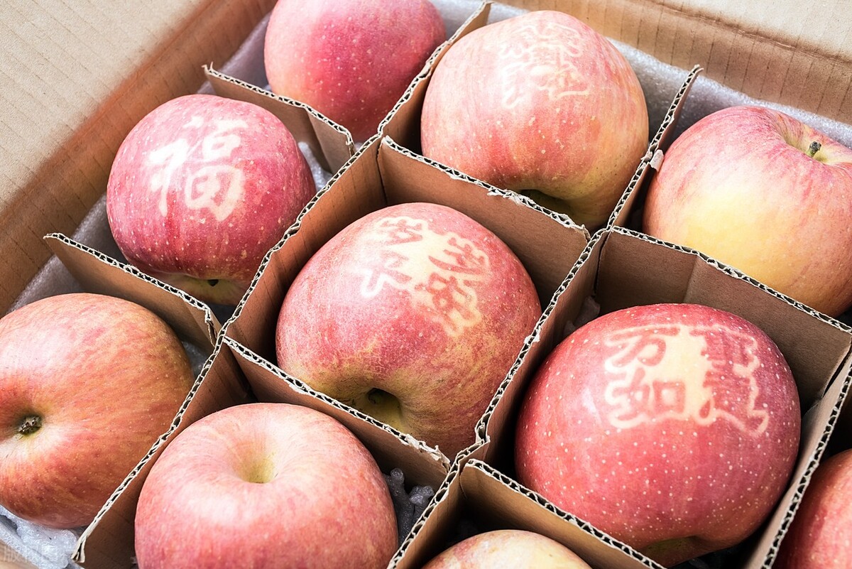 学会技能升职加薪,技能培训让生活更美好