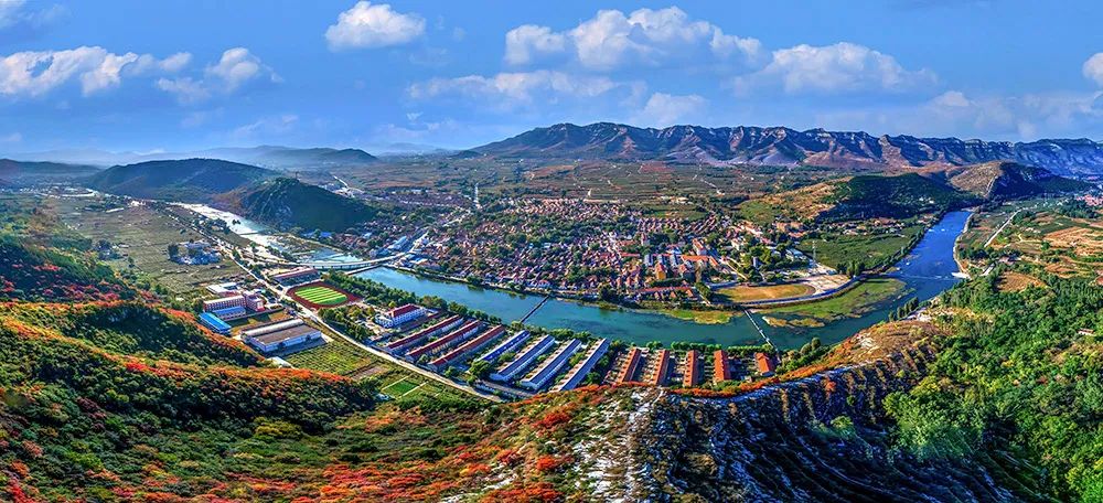 原汁原味的猕猴桃,云雾山原汁原味香甜可口的猕猴桃