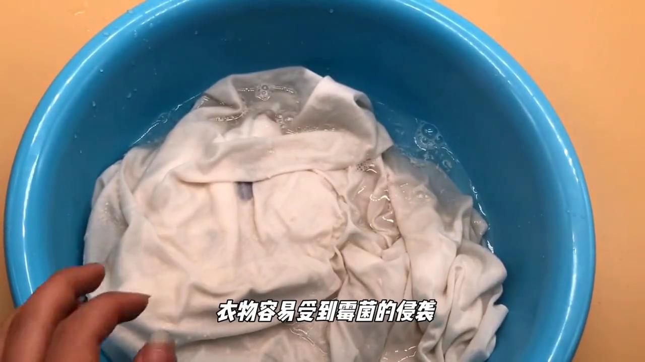 衣服发霉怎么清洗能洗掉,衣服发霉怎样清洗最有效