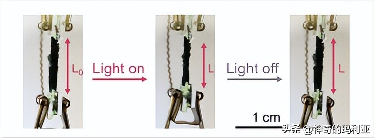 磁性响应水凝胶,光热效应水凝胶