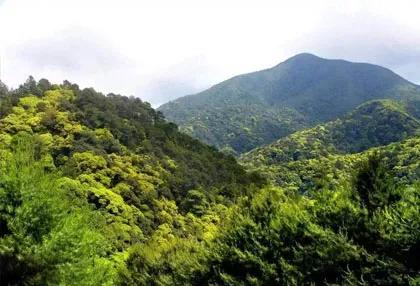 湘潭市城市漂亮吗,湖南湘潭市城市概况