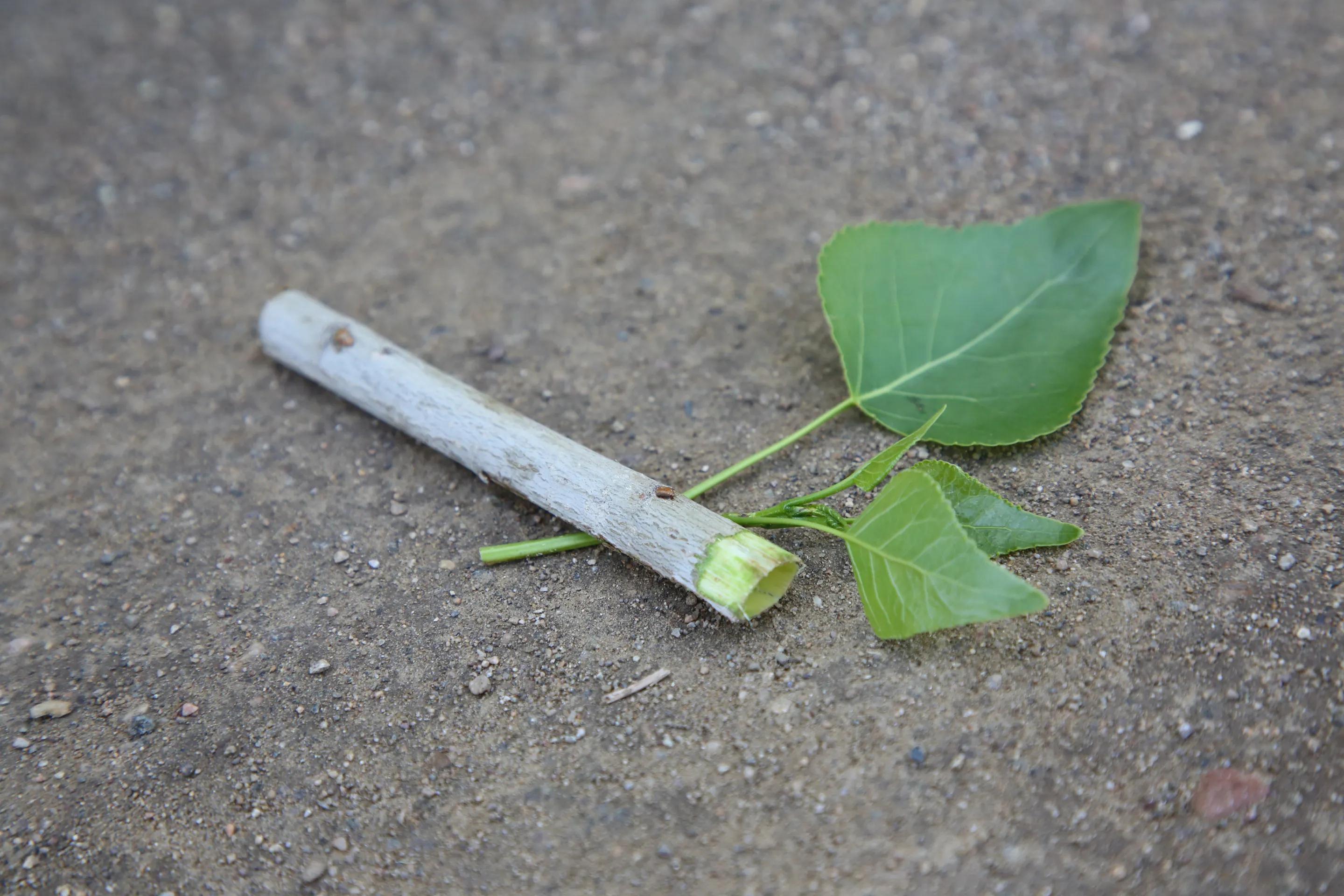 儿时游戏玩具,80年代游戏手工玩具