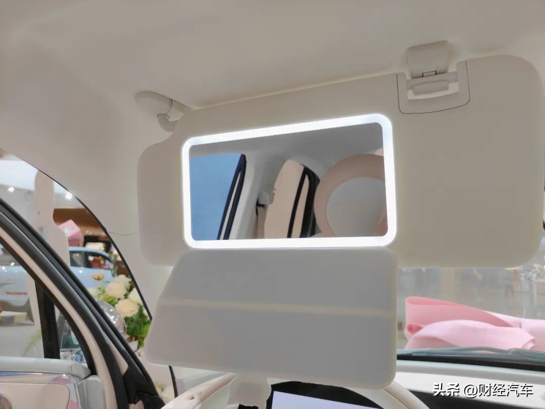 被割韭菜的欧拉车主,欧拉猫割韭菜