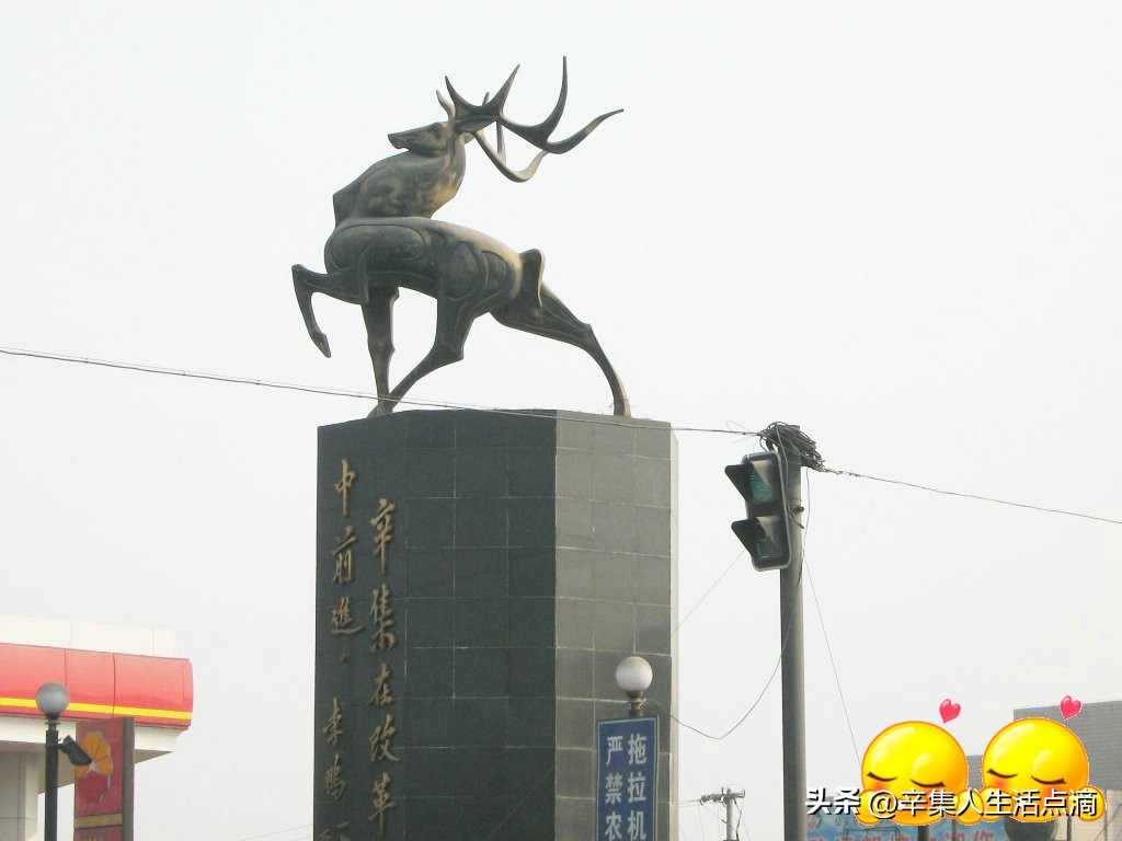皮都英才录·巾帼不让须眉！辛集市女状元武秀梅的艰辛创业路！