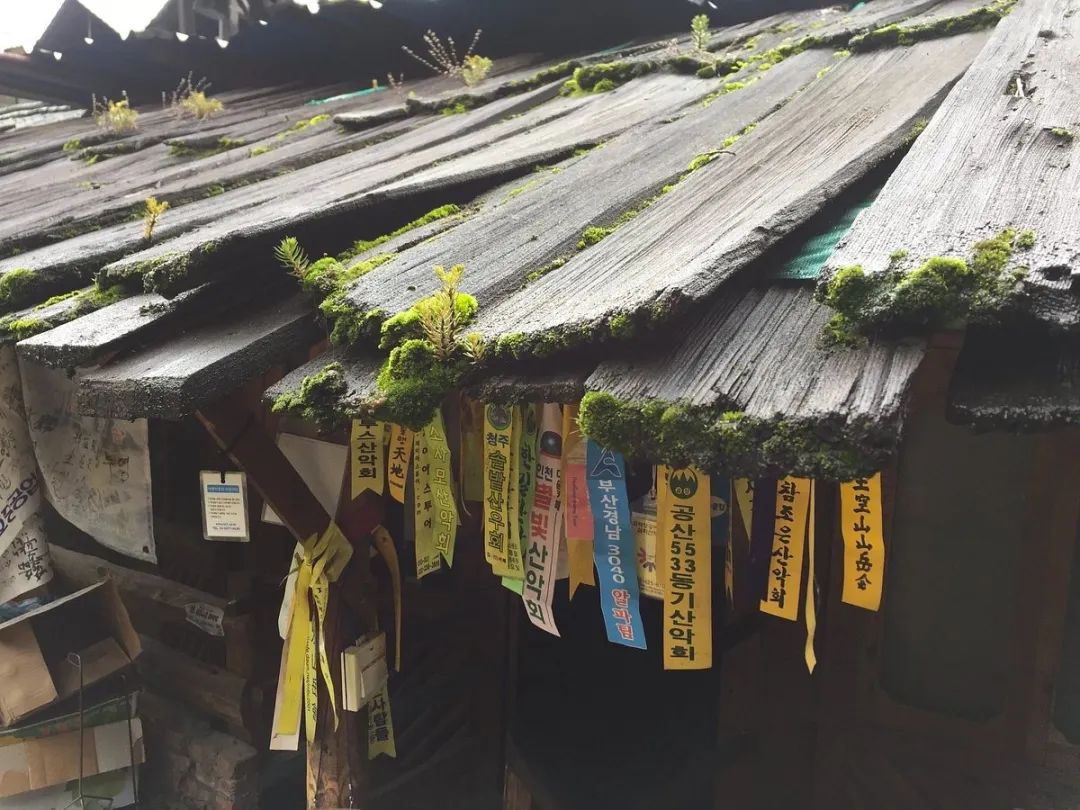 韩国人在云南虎跳峡,韩国人看云南虎跳峡