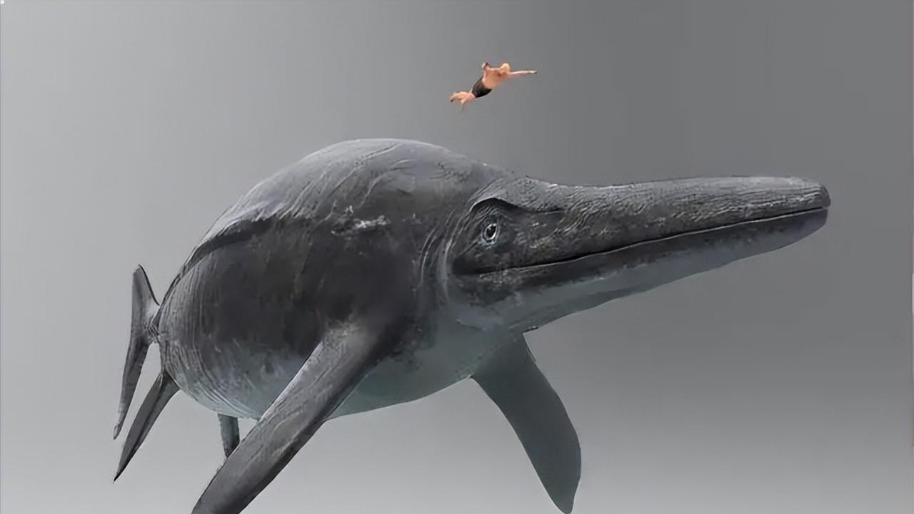 海洋的庞然大物蓝鲸,地球进化史上最大的生物