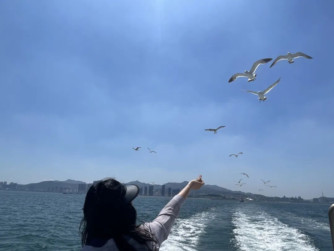 阳光正好周末出去走走,阳光明媚的周末游