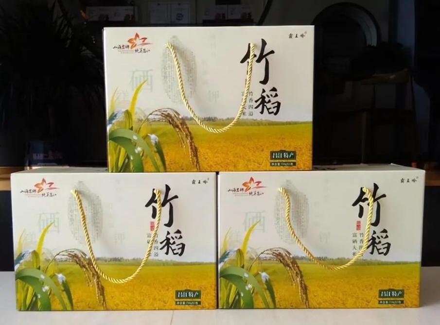 竹子和水稻杂交产量高吗,杂交竹稻亩产多少公斤