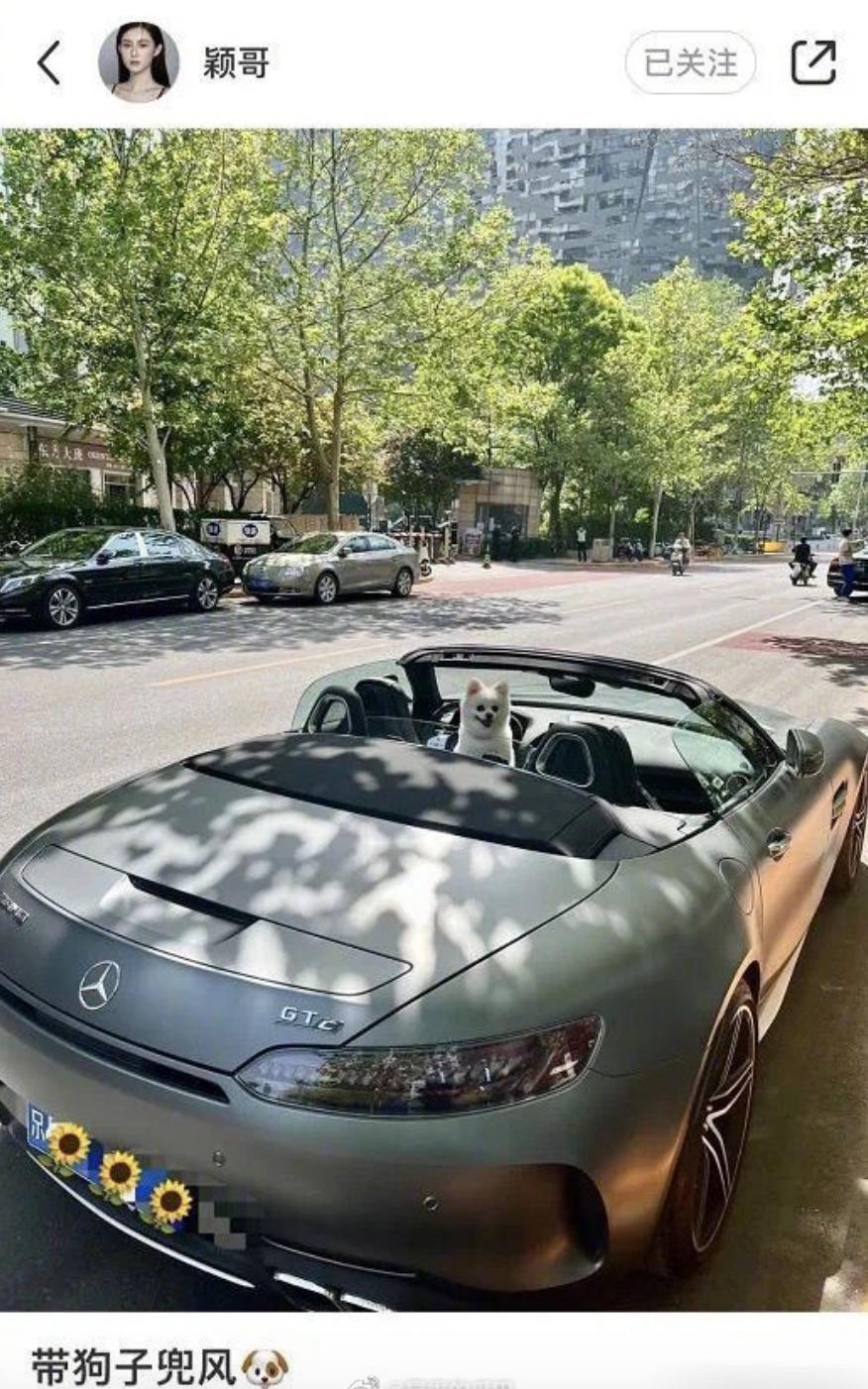 名利场｜|失控的小汪和他身边的女人们……