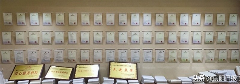 河南南阳艾草品牌,南阳绿莹艾草制品加盟