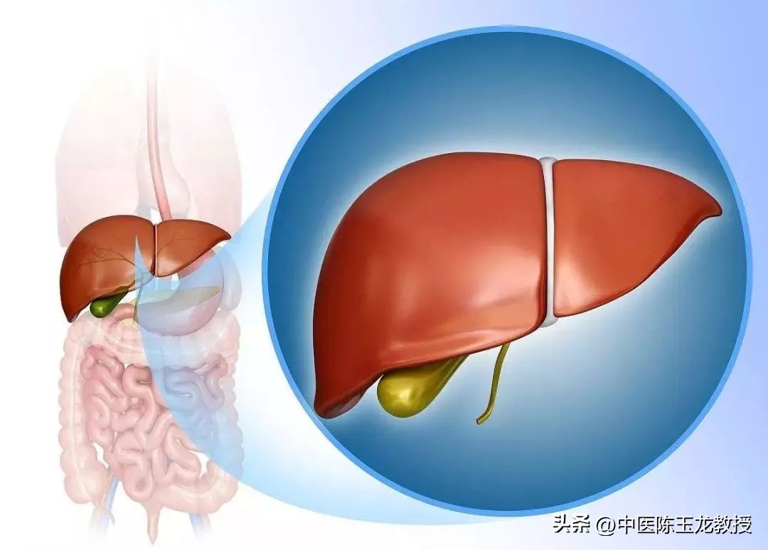 逍遥丸搭配什么对结节和肌瘤好,逍遥丸和什么搭配能软坚散结