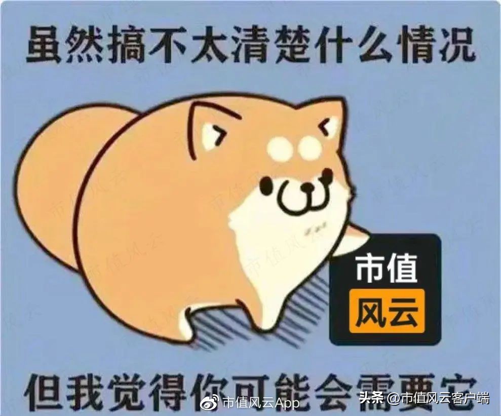 出版板块为啥涨,出版传媒为什么涨这么多