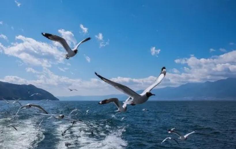 五一旅游攻略云南景点有哪些,五一游玩推荐云南景点有哪些