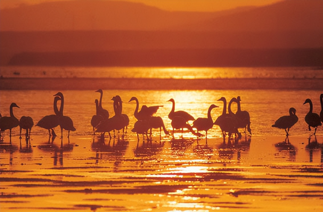 河南自驾攻略最佳路线,旅游自驾河南路线攻略大全图最新