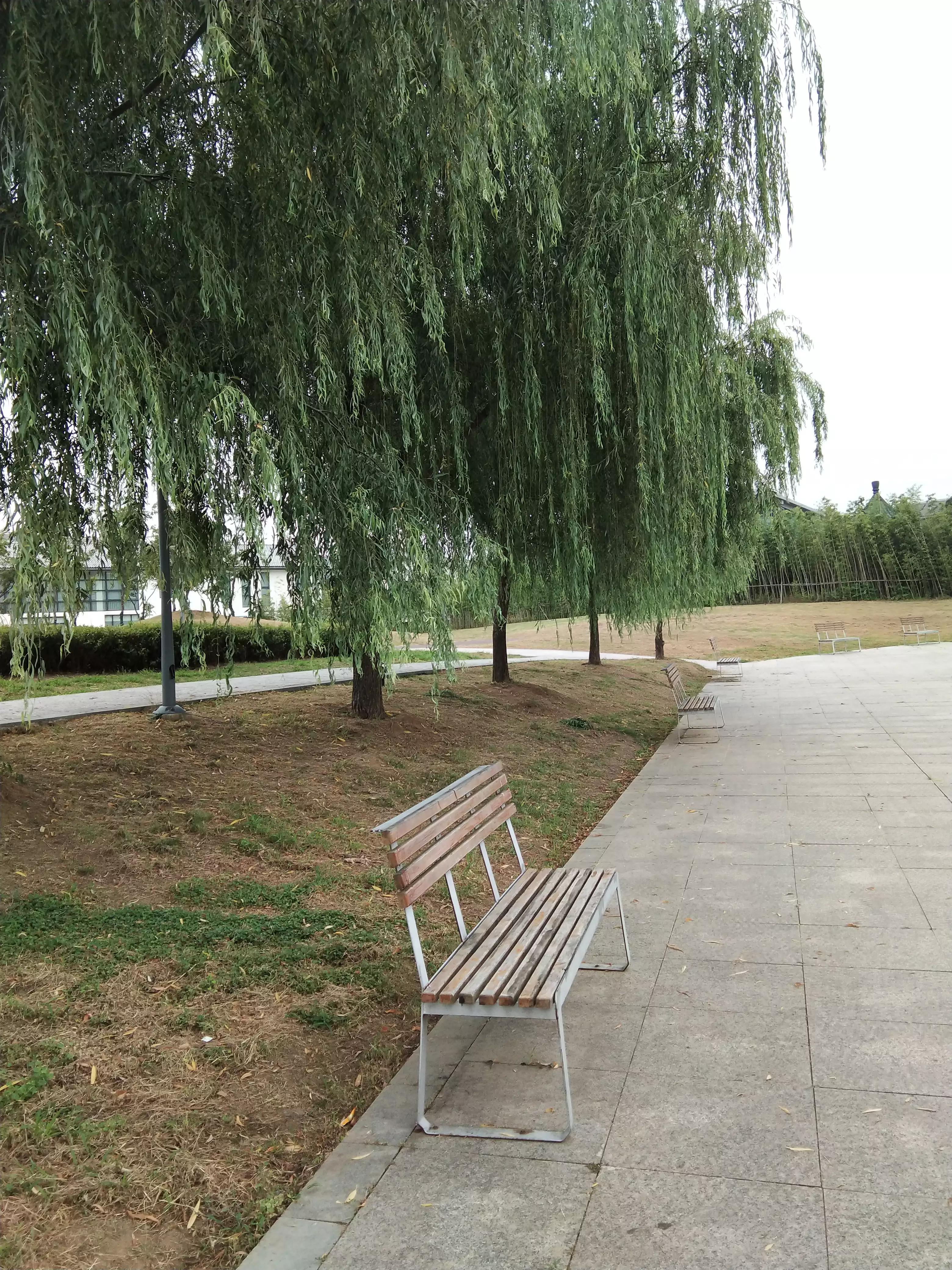 户外音响哪个品牌好,户外唱歌