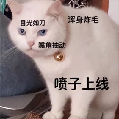 我在网店买三文鱼喂猫，结果被人网暴追骂两年，还造黄谣！