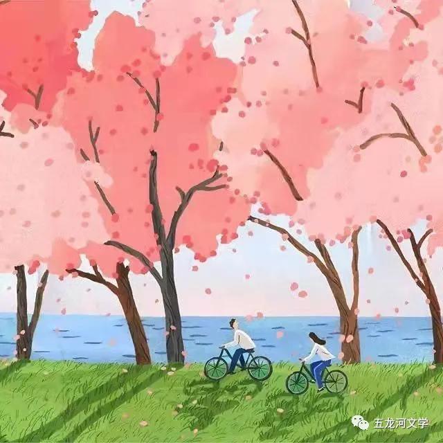 鲜活的花儿美文,散文花的随笔