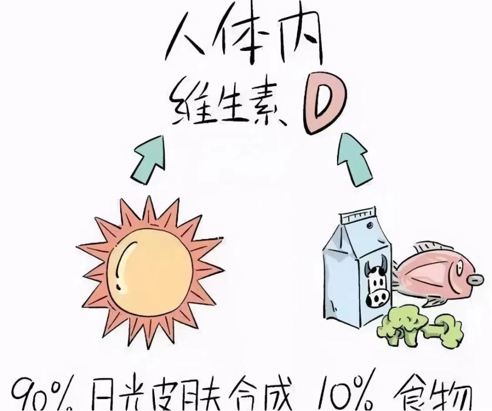 如何拉伸长高的科学方法,长高的科学方法聊天记录