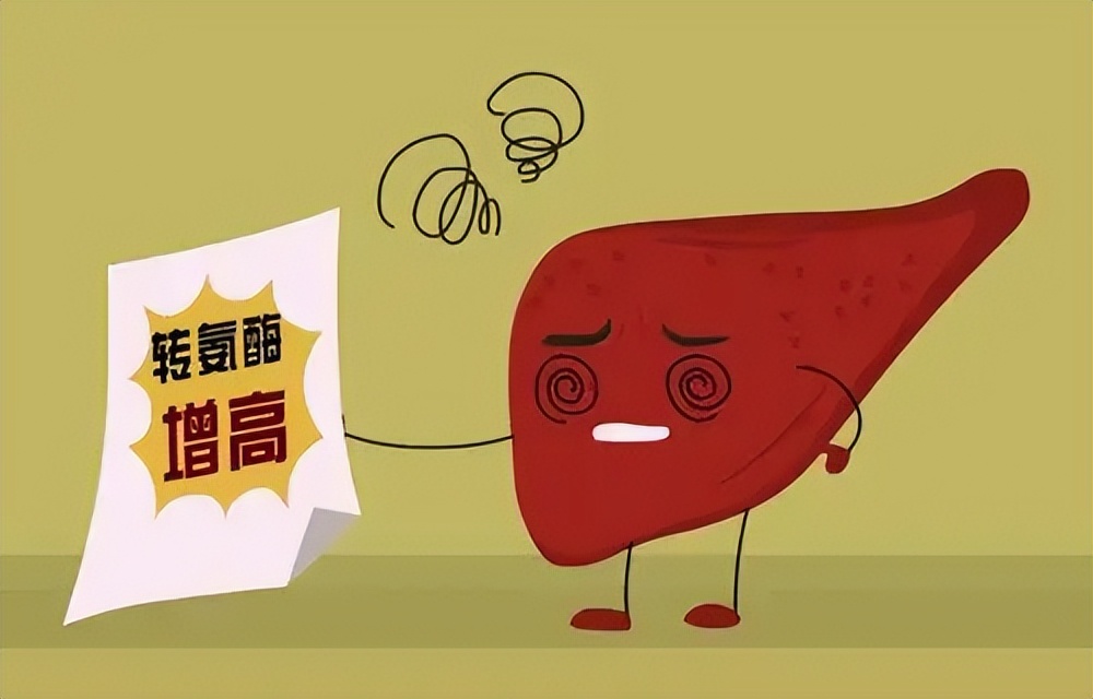 转氨酶高应该护肝还是降酶,转氨酶高吃什么中成药降酶效果快