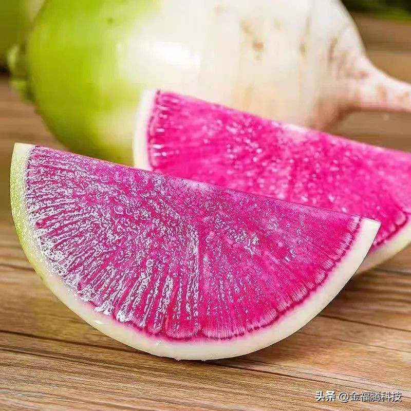 金玉园萝卜熟了~15日采摘期，清甜无辣，原汁原味，自然生长